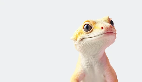 Digər