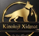 Kinoloq by Nicat Akhmadli loqo