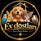 Zoo Shop Baku loqo
