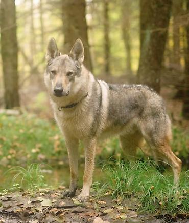 59baa6f26ae64cd73872fab563